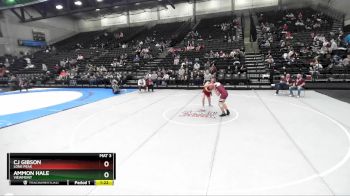 160 lbs Cons. Round 4 - Ammon Hale, Viewmont vs Cj Gibson, Lone Peak