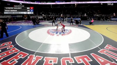 107 lbs Champ. Round 1 - Kyrsten Yadlosky, Windsor vs Violet Herman, Fairport