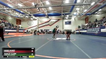 235 lbs Cons. Semi - Angie Nunez, Edwardsville (H.S.) vs Marley Clark, Peoria (Richwoods)