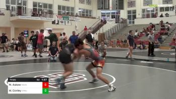 113 lbs Final - Mason Askew, Mountain View vs Wesley Conley, Armuchee High School