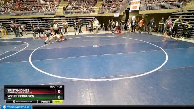 79 lbs Cons. Round 2 - Wylee Ferguson, JWC vs Tristan Dines, Team Boulder Jr Eagles