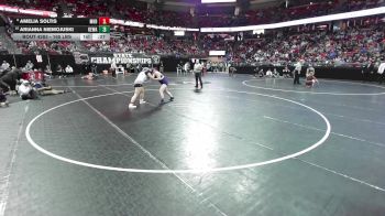 165 lbs Cons. Semis - Arianna Niemojuski, Kewaunee vs Amelia Soltis, Mount Horeb/Barneveld