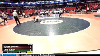 3A 195 lbs Quarterfinal - Hunter Janeczko, Yorkville (H.S.) vs Drew Surges, St. Charles (North)