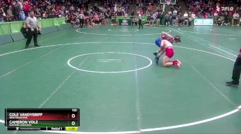 132 lbs Quarterfinal - Cole Vandygriff, New Palestine vs Cameron Volz, Eastern Hancock