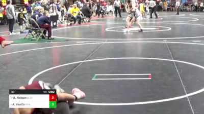 63 lbs Quarterfinal - Alachia Nelson, Clearfield vs Alyson Yeatts, Hickory