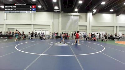 113 lbs Cons. Round 2 - Brody Davis, AL vs Raymond Liu, FL