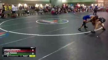 113 lbs Round 4 (16 Team) - Tyler Perkkio, Michigan vs Jamon Stromwall, FCA Empowered Blue