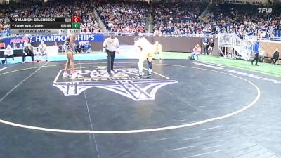 D2-165 lbs 1st Place Match - Zane Willobee, Gaylord vs D`Marion Erlenbeck, Clio