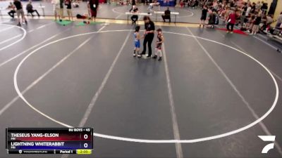 45 lbs Round 1 - Theseus Yang-Elson, MN vs Lightning Whiterabbit, MN