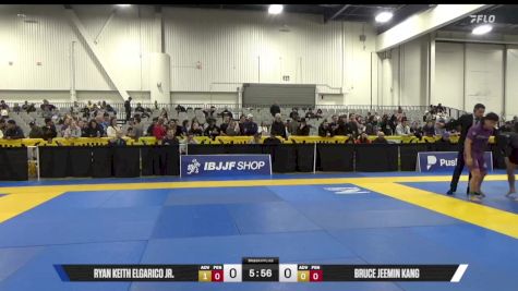 Bruce Jeemin Kang vs Ryan Keith Elgarico Jr. 2025 World IBJJF Jiu-Jitsu No-Gi Championship