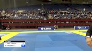 Brandon Keith Reed vs Corbin Travis LaPorte 2024 Pan IBJJF Jiu-Jitsu No-Gi Championship