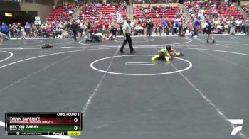 61 lbs Cons. Round 3 - Hector Garay, Texas Elite vs Talyn Saferite, South Central Punisher Wrestli