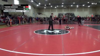 75 lbs Champ. Round 1 - Tucker Anderson, Owatonna Wrestling Academy vs Boyd Gilliland, LAW