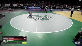 I-110 lbs Champ. Round 1 - Austin Fesinger, West Genesee vs Diego Gonzalez, Tappan Zee