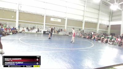 120 lbs Quarterfinals (8 Team) - Rocco Cassioppi, Illinois vs Morrison Murphy, South Carolina