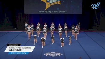 Florida Top Dog All Stars - Wild Ones [2025 L1 Junior - Small Day 1] 2025 UCA & UDA All Star National Championship