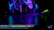 Dancin Bluebonnets - Tiny - Pom [2020 Tiny - Pom Day 1] 2020 Encore Championships: Houston DI & DII