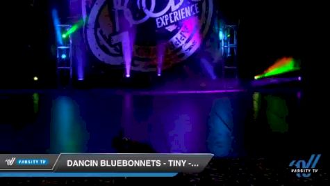 Dancin Bluebonnets - Tiny - Pom [2020 Tiny - Pom Day 1] 2020 Encore Championships: Houston DI & DII