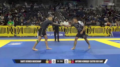 Antonio Henrique Castro Dos Sant vs Dante Derrick Muschamp 2025 Pan IBJJF Jiu-Jitsu No-Gi Championship