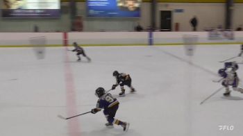 Replay: Home - 2024 St. Louis U10 vs Sabres U10 | Nov 30 @ 10 AM