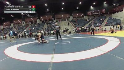174 lbs Champ. Round 1 - Anthony Cashman, Marian University vs Brock Weaver, Life