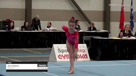 Amy Robins - Floor, Rose City