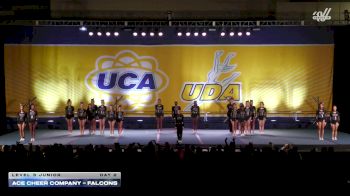 ACE Cheer Company - Falcons [2025 L3 Junior Day 2] 2025 UCA Sevierville Showdown