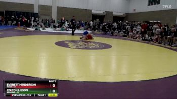 115 lbs Semis (4 Team) - Everett Henderson, Pierz vs Colton Libson, Brainerd