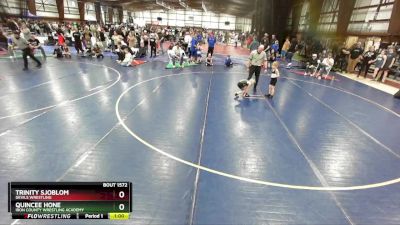 46 lbs Cons. Round 2 - Trinity Sjoblom, Devils Wrestling vs Quincee Hone, Iron County Wrestling Academy