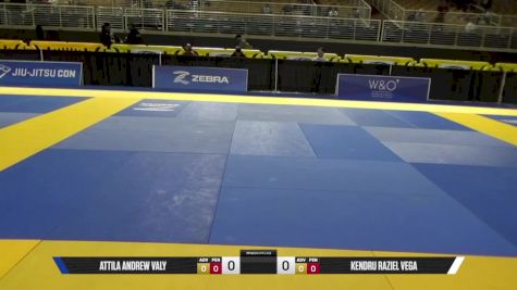 Kendru Raziel Vega vs Attila Andrew Valy 2025 Pan Jiu Jitsu IBJJF Championship
