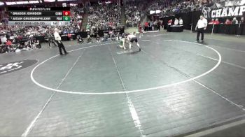 D3-120 lbs 1st Place Match - Aidan Gruenenfelder, Pecatonica/Argyle vs Braden Johnson, Cumberland