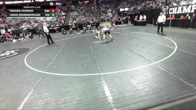 D3-120 lbs 1st Place Match - Aidan Gruenenfelder, Pecatonica/Argyle vs Braden Johnson, Cumberland