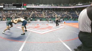 8A 215 lbs Semifinal - Avery Small, Mallard Creek High School vs Daniil Petrukhno, Green Level