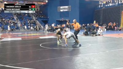 132 lbs Semifinal - Vincenzo Anello, Blair Academy vs Kavin Muyleart, Cedar Cliff