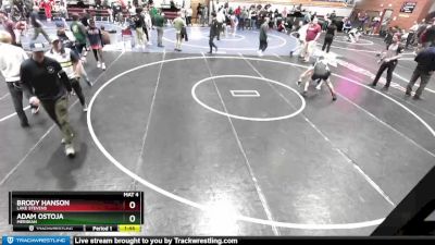 113 lbs Cons. Round 3 - Brody Hanson, Lake Stevens vs Adam Ostoja, Meridian