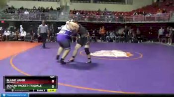285 lbs Round 3 (3 Team) - Blaine Hamik, Hastings vs Seagan Packet-Trisdale, Blair