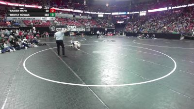 113 lbs 3rd Place Match - Bently Nowak, Coleman vs Kaiden Hahn, Saint Croix Falls
