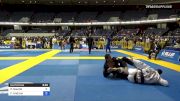 Patrick Gaudio vs Felipe Andrew 2021 World Jiu-Jitsu IBJJF Championship