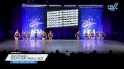 Dance Dynamics - Youth Elite Small Jazz [2025 Youth - Jazz - Small Day 2] 2025 NDA All-Star National Championship