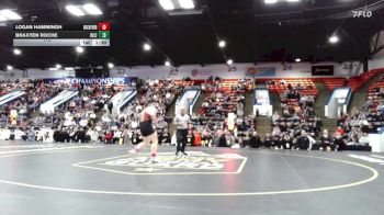175 lbs Semifinals (8 Team) - Braxten Roche, Detroit Catholic Central vs Logan Hammingh, Rockford