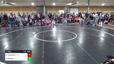 I 175 lbs Quarterfinal - Evan Tarantino, Greentown vs Parker Debiew, Unadilla