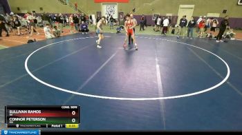 138 lbs Cons. Semi - Sullivan Ramos, WI vs Connor Peterson, MN