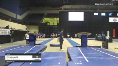 Eli Hoberecht - Vault, Black Hills Gymnastics - 2021 USA Gymnastics Development Program National Championships