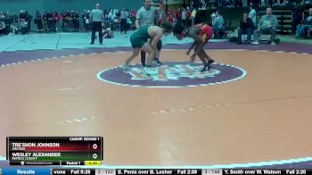 2 - 138 lbs Cons. Round 2 - Wesley Alexander, Patrick County vs Tre`Shon Johnson, Arcadia