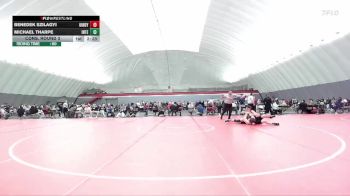 149 lbs Cons. Round 3 - Michael Tharpe, Indiana Tech vs Benedek Szilagyi, Indianapolis