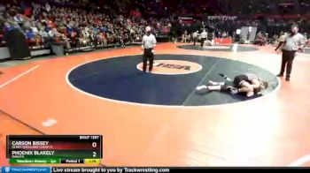 1A 126 lbs Semifinal - Phoenix Blakely, Dakota vs Carson Bissey, Olney (Richland County)