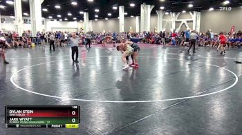 138 lbs Round 3 (16 Team) - Jake Wyatt, Florida Young Gunslingers vs Dylan Stein, Iowa Gables