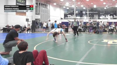 115 lbs Consi Of 4 - Logan Forgatch, Scorpions - HSC vs Dominick Powell, Blue Knights Alpha