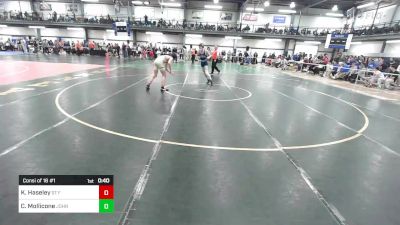 131 lbs Consi Of 16 #1 - Kole Haseley, St Francis vs Chris Mollicone, John Jay-ef