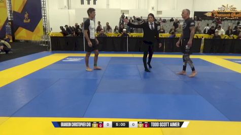 Todd Scott Aimer vs Brandon Christopher Cho 2024 World IBJJF Jiu-Jitsu No-Gi Championship